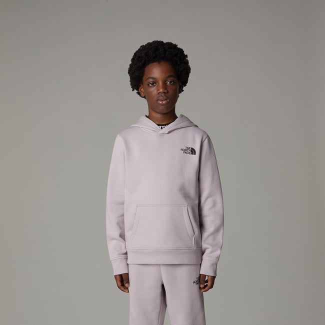 Sweat à capuche, molleton, logo devant et dos  gris clair <span itemprop=