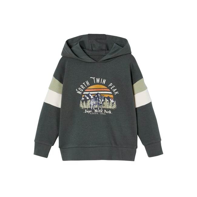 Sweat à capuche motif grahique manches colorblock lichen <span itemprop=