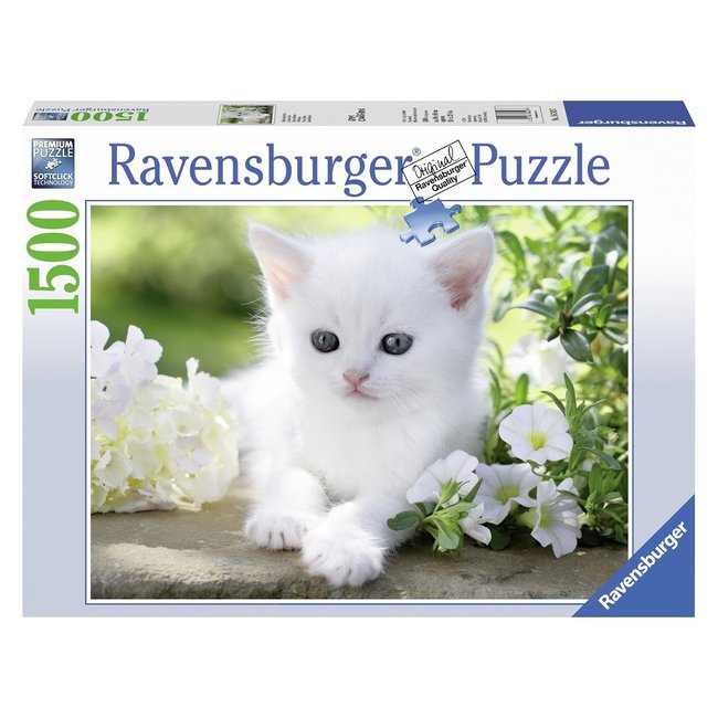 Puzzle Chaton Blanc 1500 Pieces - RAVENSBURGER