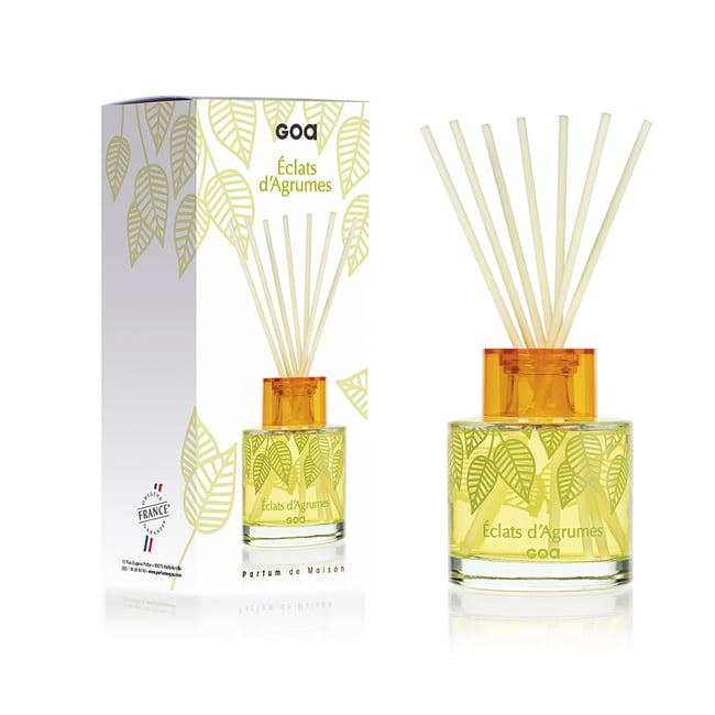 Parfum d'intérieur - Goatier   éclats d'agrumes 200 ml-INTEMPOREL Couleur v019845 <span itemprop=