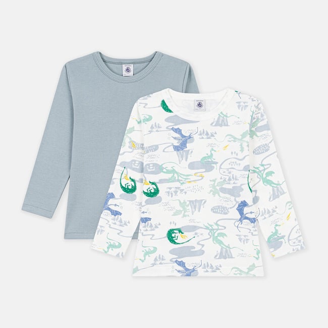 Confezione da 2 T-shirt maniche lunghe fantasia + blu PETIT BATEAU