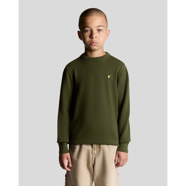 Pull en coton col rond vert foncé <span itemprop=