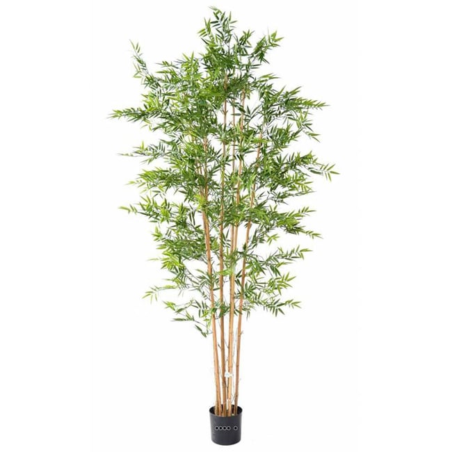 Bambou artificiel en pot special UV pour ext Couleur vert <span itemprop=