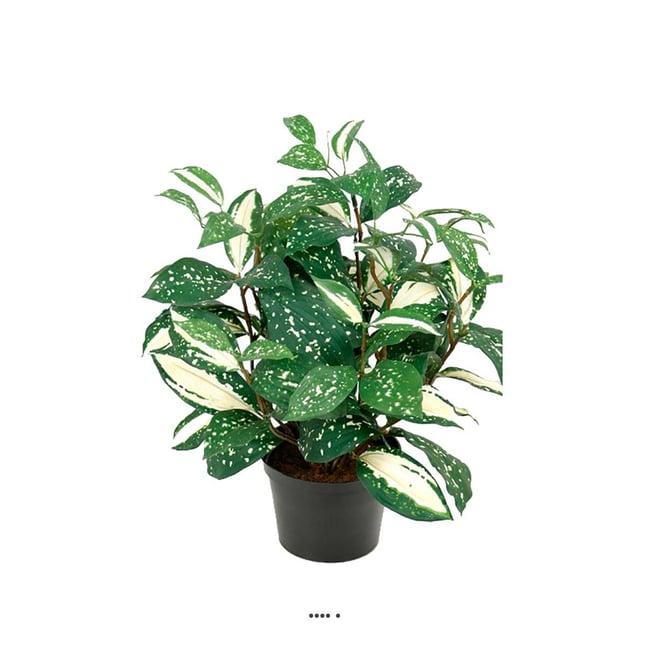 Pothos artificiel au feuillage tacheté H 35 Couleur v002239 <span itemprop=
