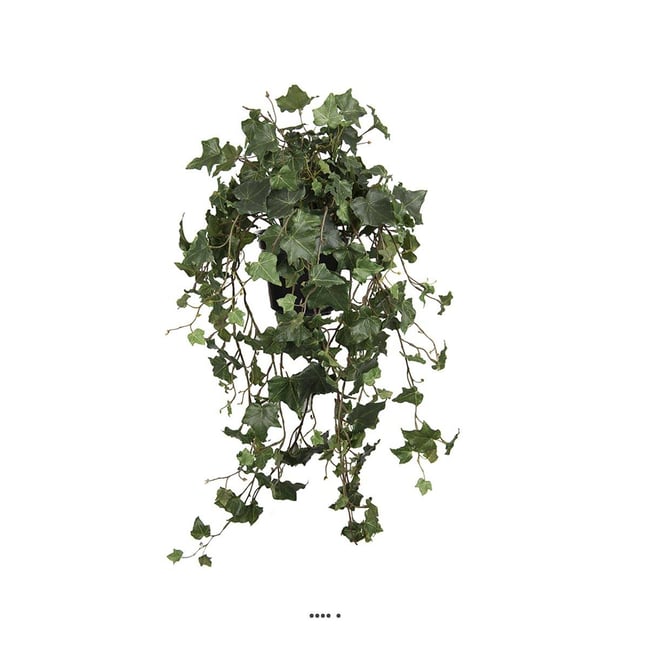 Chute de lierre artificiel en pot, L 75 c Couleur vert <span itemprop=