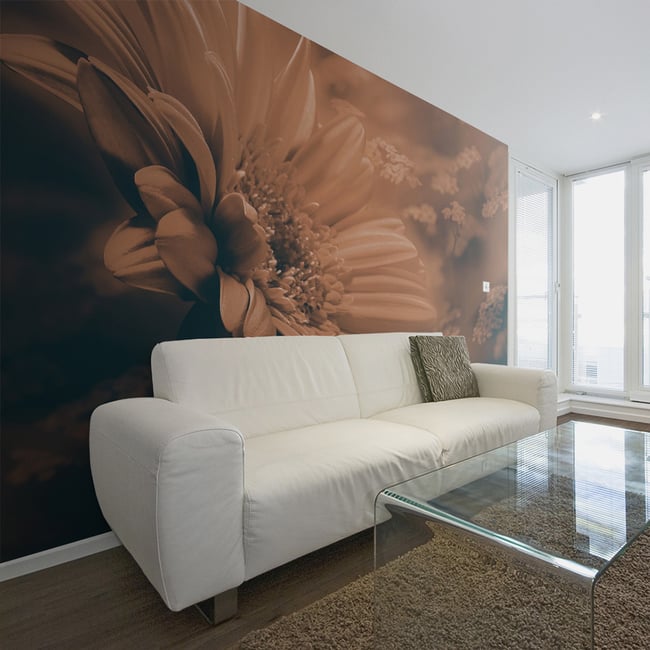 Papier peint intissé panoramique Fleurs Gerbera in bronze Couleur noir <span itemprop=