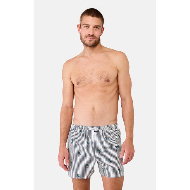 Caleçon classique en coton Randormeur bleu <span itemprop=