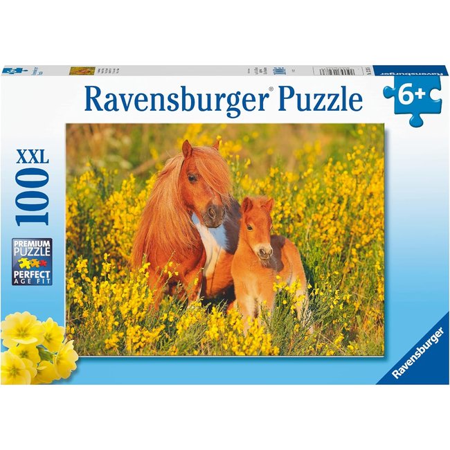 Puzzle pour enfant - Poneys Shetland multicolore <span itemprop=