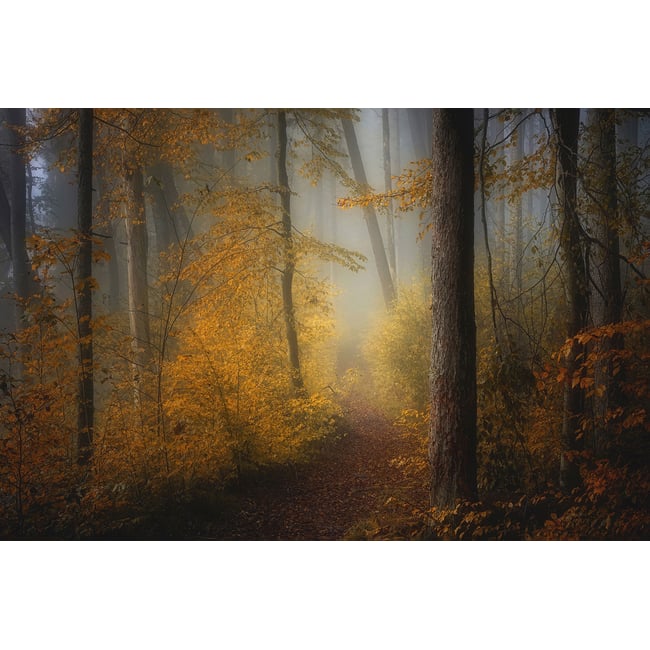 Tableau Automne rouge - HEXOA