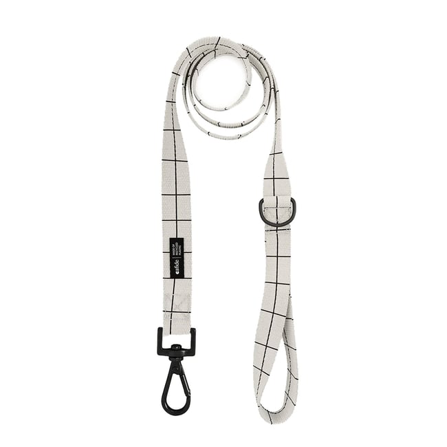 Laisse PET recyclé linéaire design, JUNO beige <span itemprop=