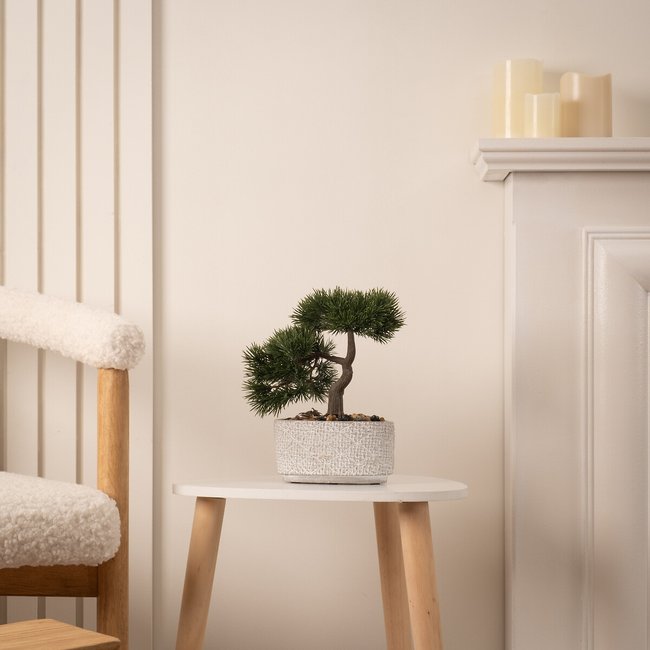 26cm Artificial Bonsai in Cement Pot, green, SO'HOME