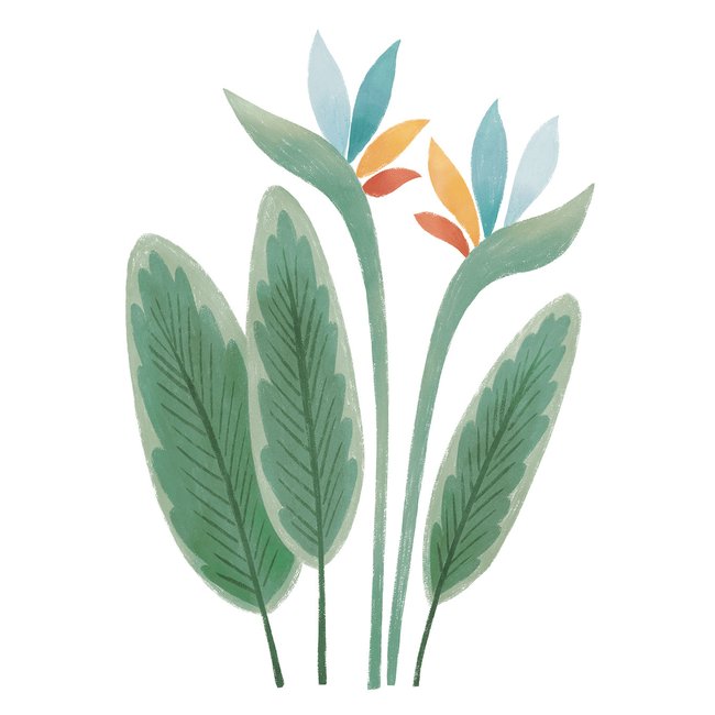 Stickers feurs, oiseaux du paradis YATSUNI Couleur vert <span itemprop=