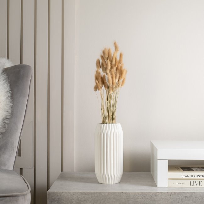 50-60cm Bunny Tails/Lagurus Ovatus Bunch in Natural (50 stems approx), beige, SO'HOME
