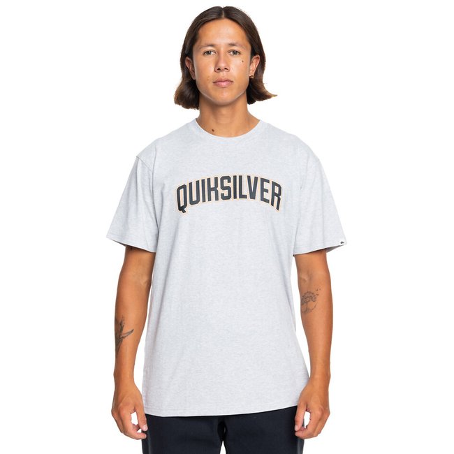 Logo Print T-Shirt with Crew Neck and Short Sleeves, light grey, QUIKSILVER