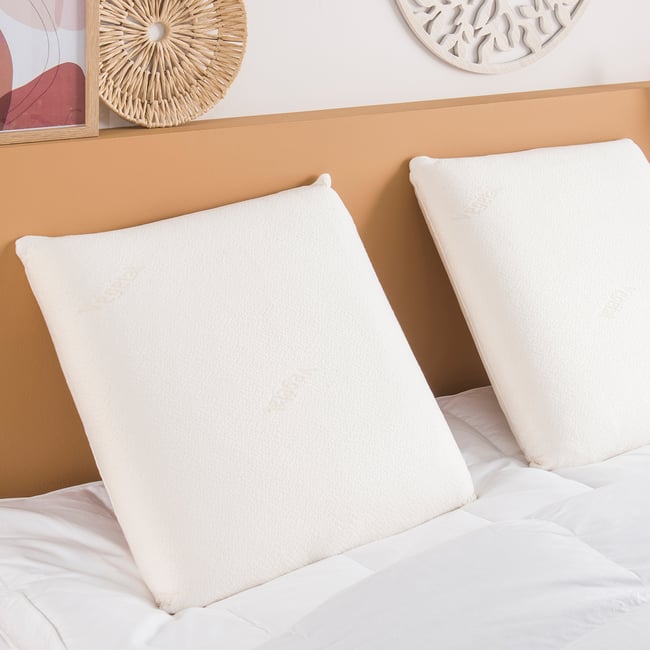 Oreiller Visco Nature Couleur blanc <span itemprop=