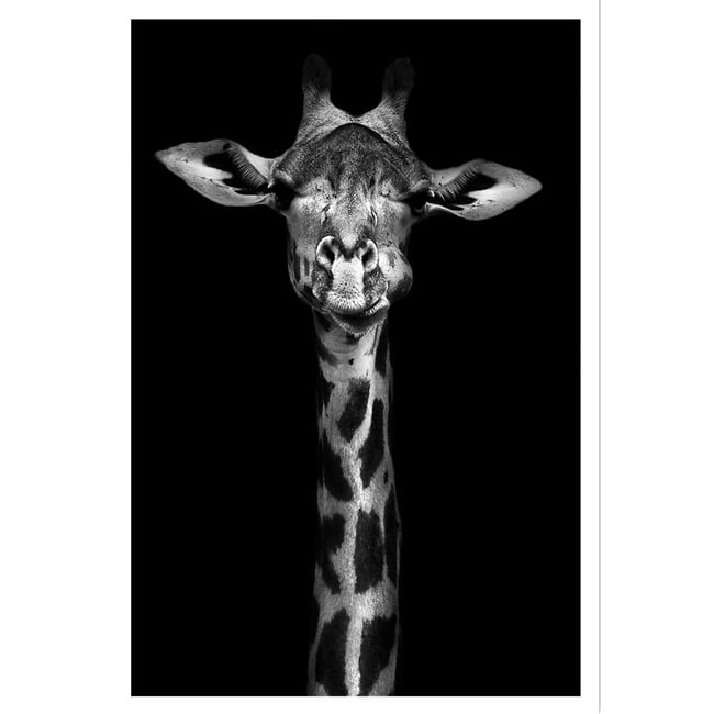 Affiche girafe haute en portrait - HEXOA