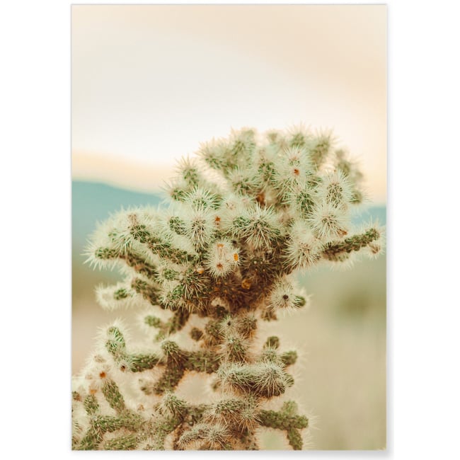 Affiche Nature Desert 2 Couleur blanc <span itemprop=