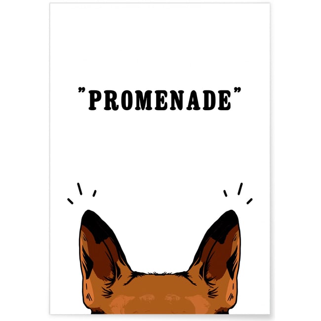 Affiche Promenade Couleur blanc <span itemprop=