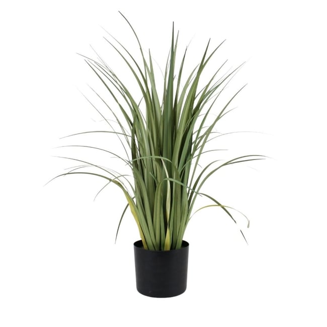 Plante artificielle acorus 80cm Couleur vert <span itemprop=