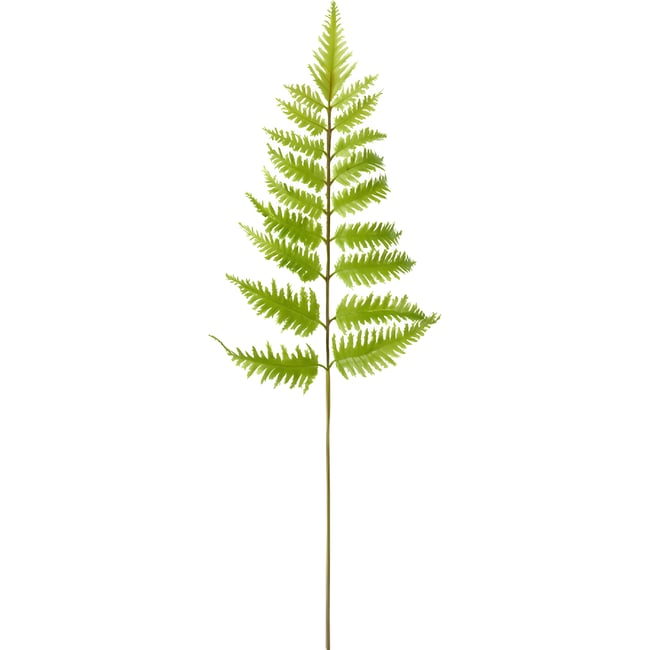 Tige de fougère artificielle H55 Couleur vert <span itemprop=