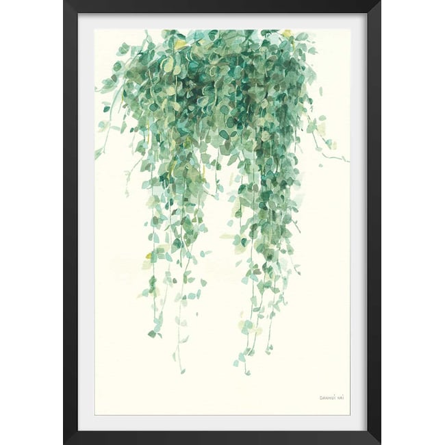Affiche plante succulente illustrée - HEXOA