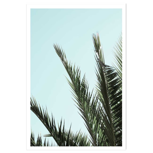 Poster palme bleue - HEXOA