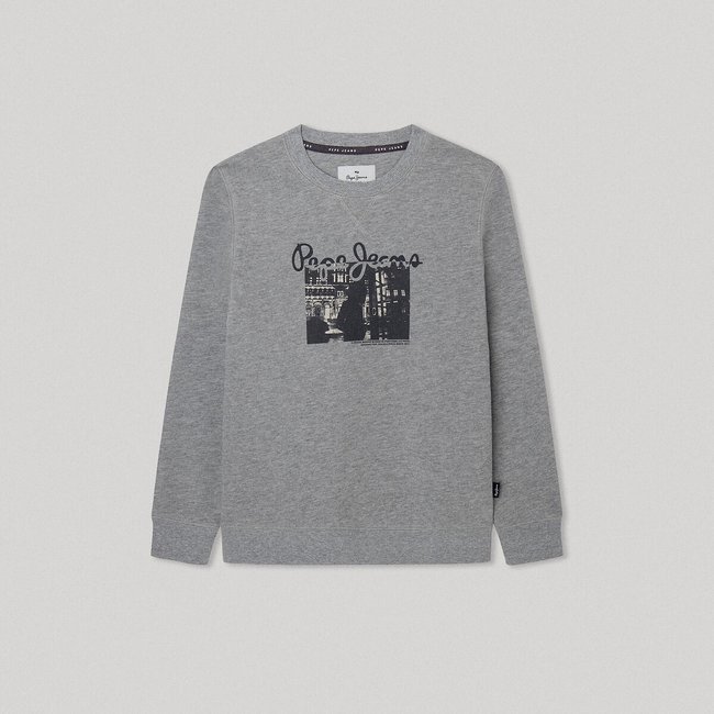 Sweat col rond à manches longues gris <span itemprop=
