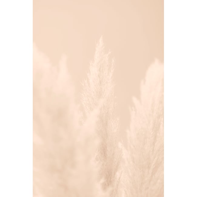 Tableau scandi fleurs de roseaux - HEXOA