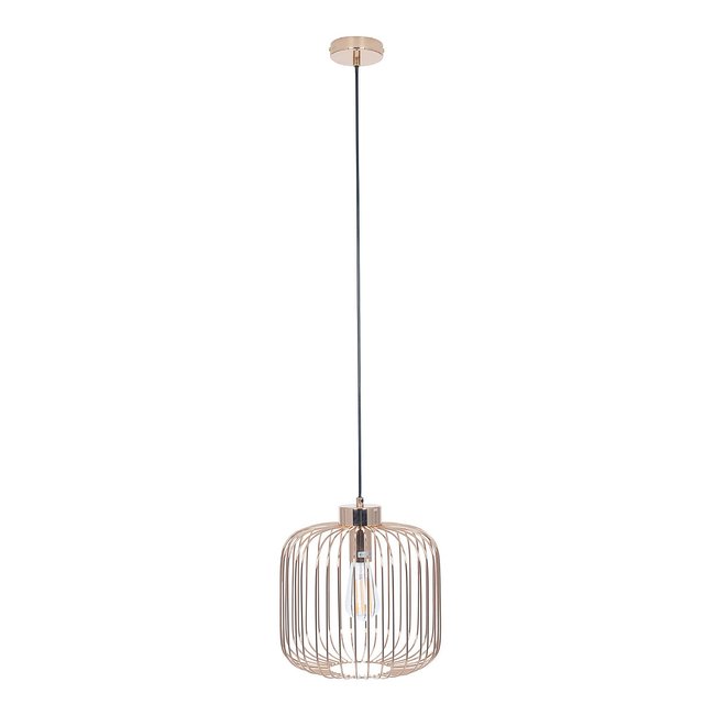 French Gold Metal Wire Cage with Exposed Bulb Pendant Ceiling Light, gold, SO'HOME