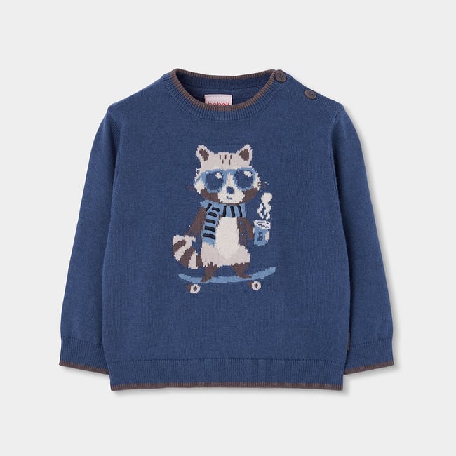 Pull garçon imprimé raton laveur skater bleu <span itemprop=