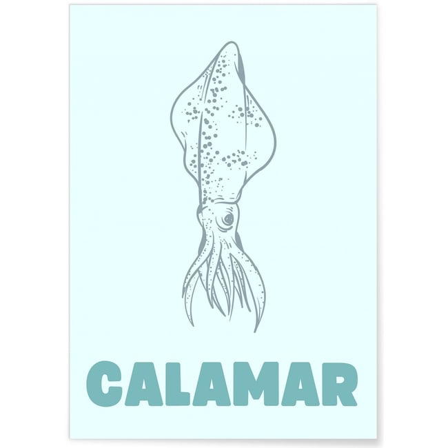 Affiche Calamar Couleur blanc <span itemprop=