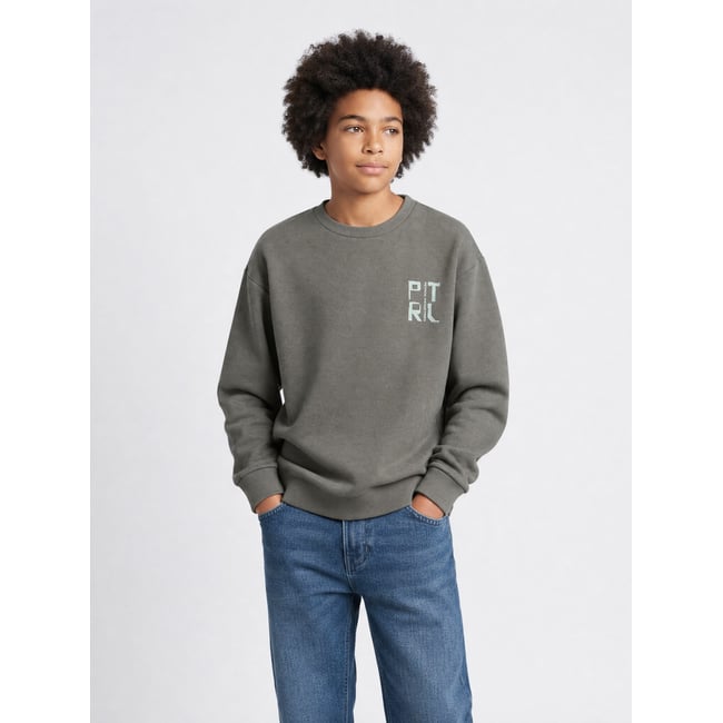 Sweat à imprimé graphique ironhill gris beluga <span itemprop=
