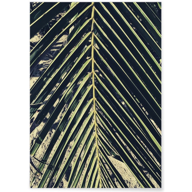 Poster nature Verte n°2 Couleur blanc <span itemprop=