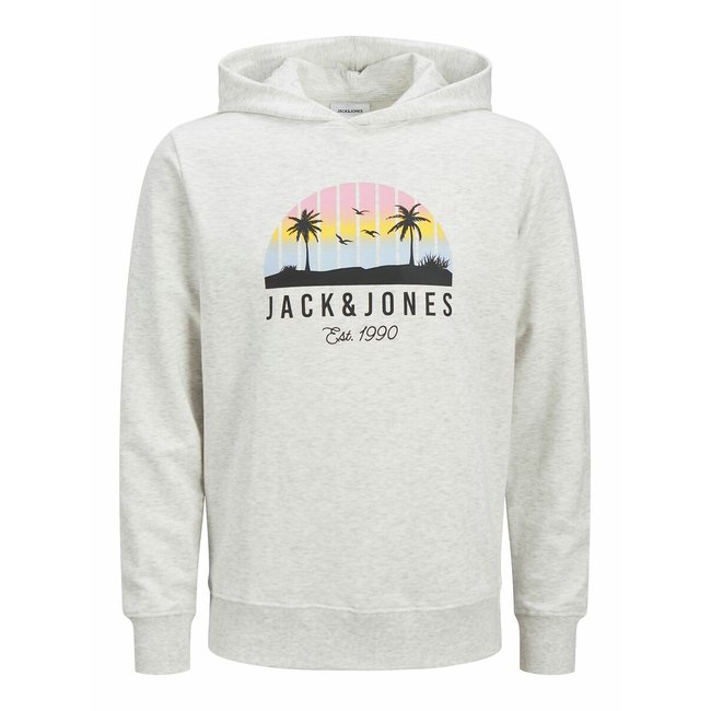 Sweat à capuche à imprimé ecru chiné <span itemprop=
