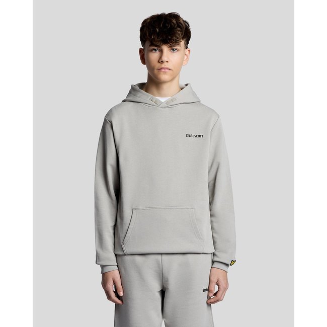 Sweat à capuche en coton logo script gris froid <span itemprop=