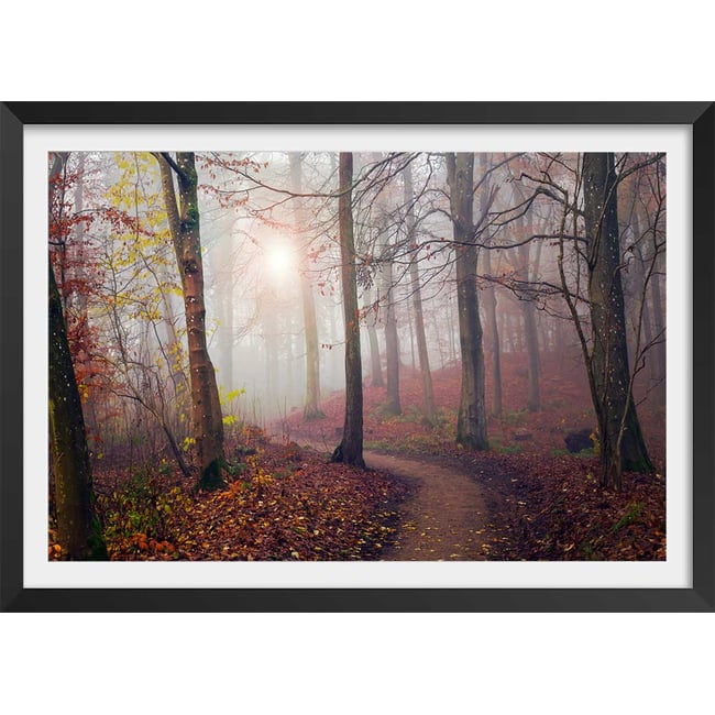 Affiche l'arbre et l'automne jaune - HEXOA