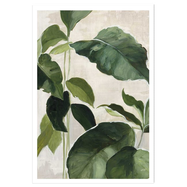 Poster Aquarelle botanique - HEXOA