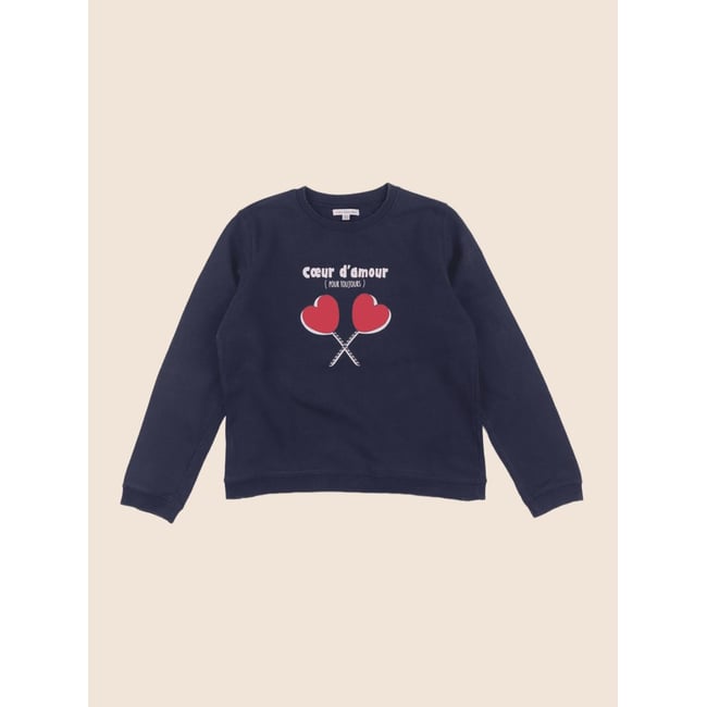Sweat - Etat satisfaisant multicolore <span itemprop=