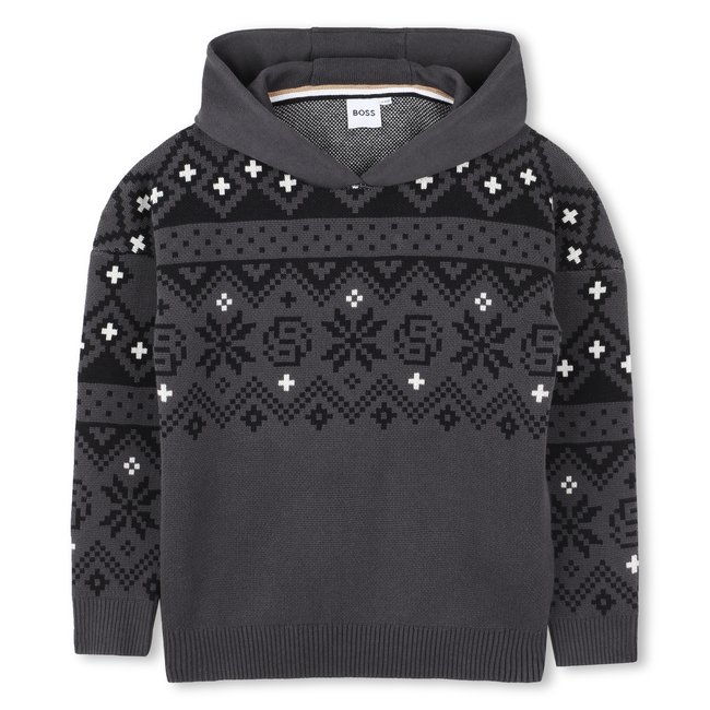 Pull à capuche gris chine <span itemprop=
