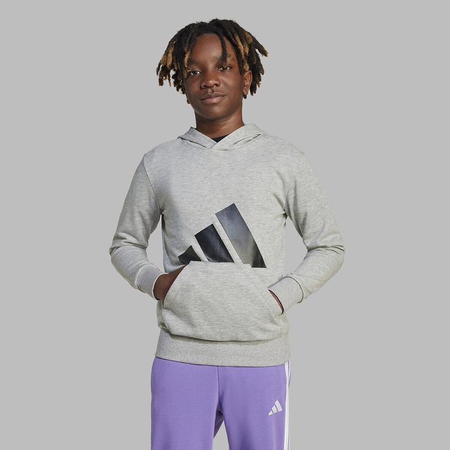 Sweat à capuche en molleton gris/noir <span itemprop=