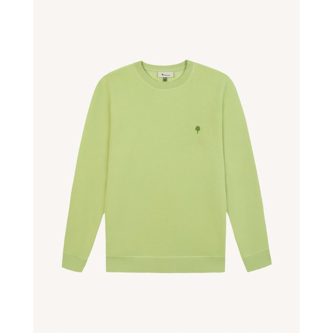 Sweat DONZY DONZY vert anis <span itemprop=