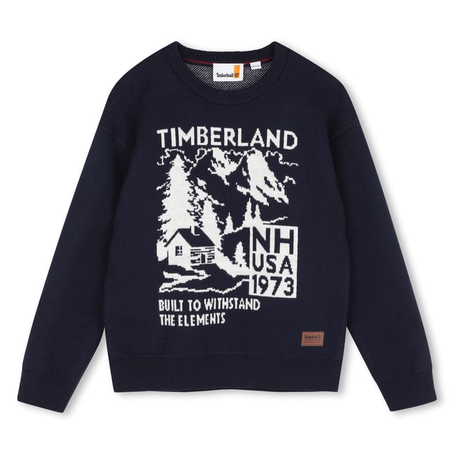 Pull à manches longues bleu cargo <span itemprop=