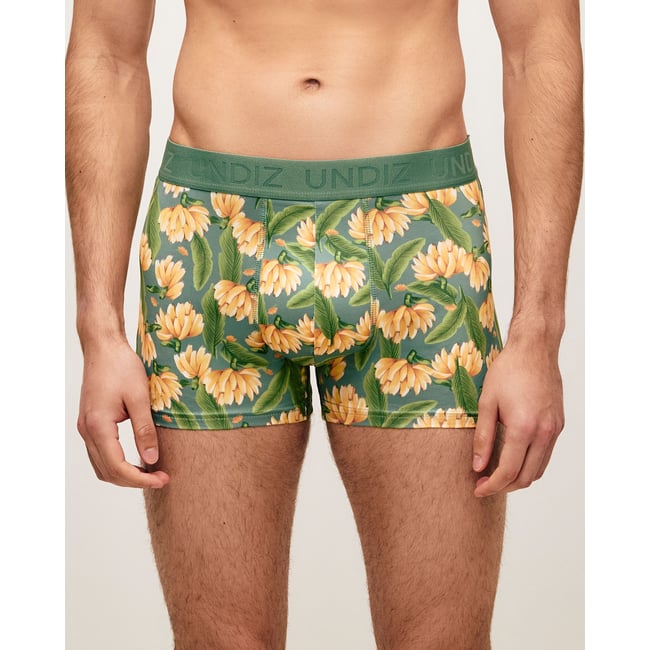 Boxer en microfibre motifs bananes REPEATIZ BANAB vert <span itemprop=