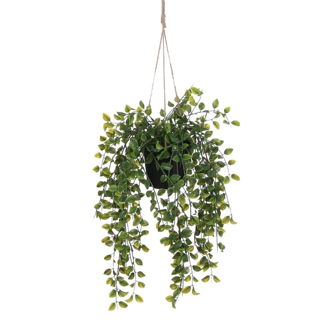 Plante artificielle FICUS Couleur vert <span itemprop=