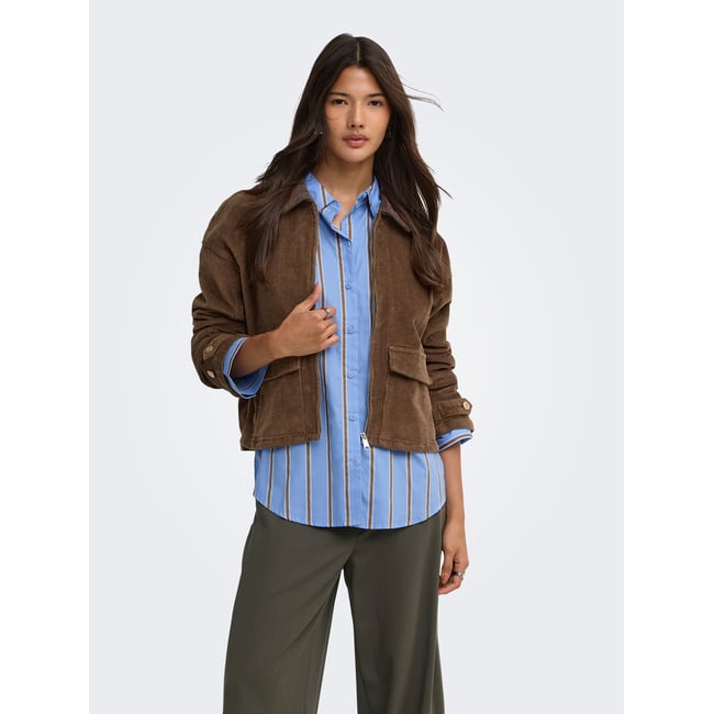Veste cub <span itemprop=