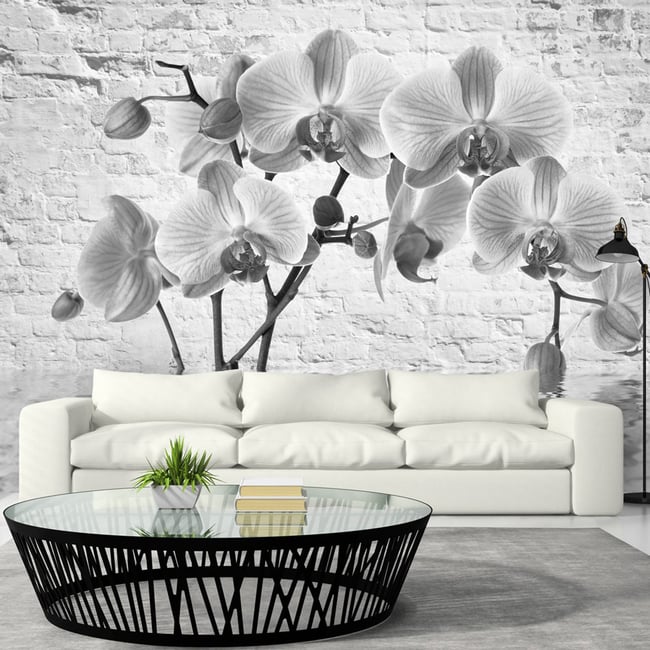 Papier peint intissé panoramique Fleurs Orchid in Shades of Gray Couleur gris / argent <span itemprop=