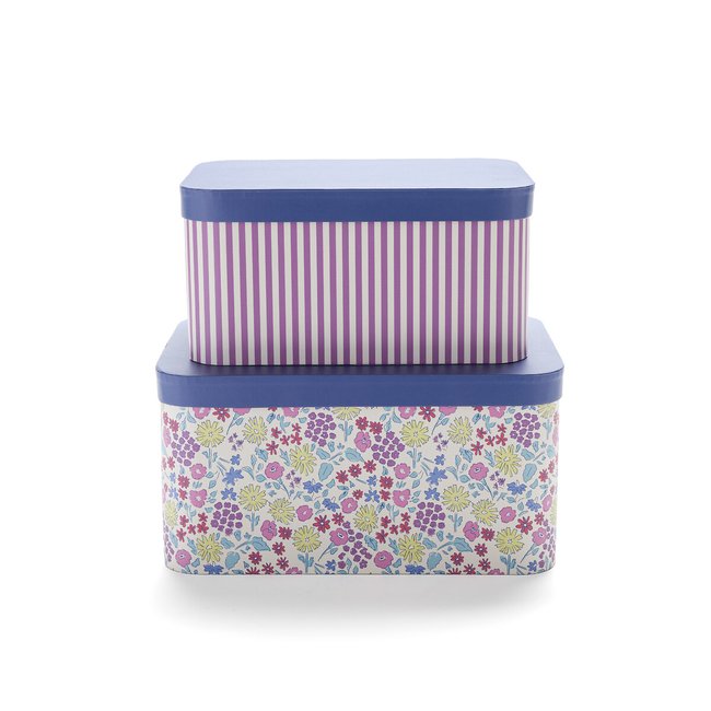 2er-Pack Aufbewahrungsboxen Florus, Karton bunt <span itemprop=