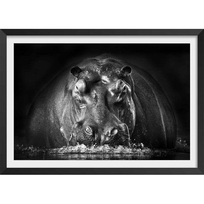 Affiche animaux portrait hippo - HEXOA