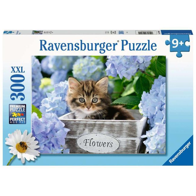 Puzzle 300 pièces XXL - Petit chaton - RAVENSBURGER