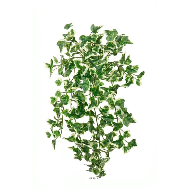 Chute de lierre artificiel L 45 cm vert-blanc Couleur v002239 <span itemprop=